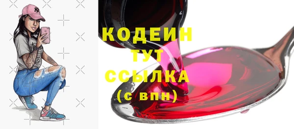 стаф Арсеньев