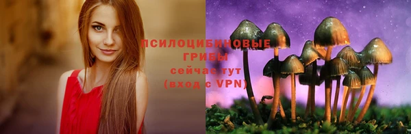 стаф Арсеньев
