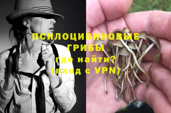 стаф Арсеньев