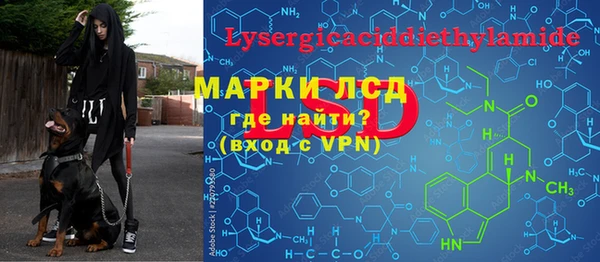 стаф Арсеньев